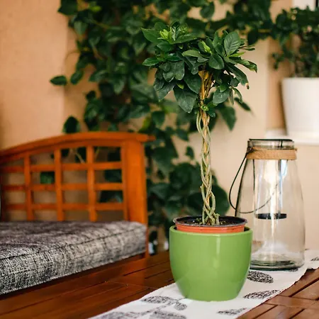 Apartman Mina 2 Rednek